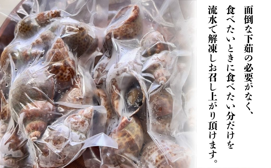 【季節限定】【600g】黒ばい貝水煮（冷凍）200g×3袋
