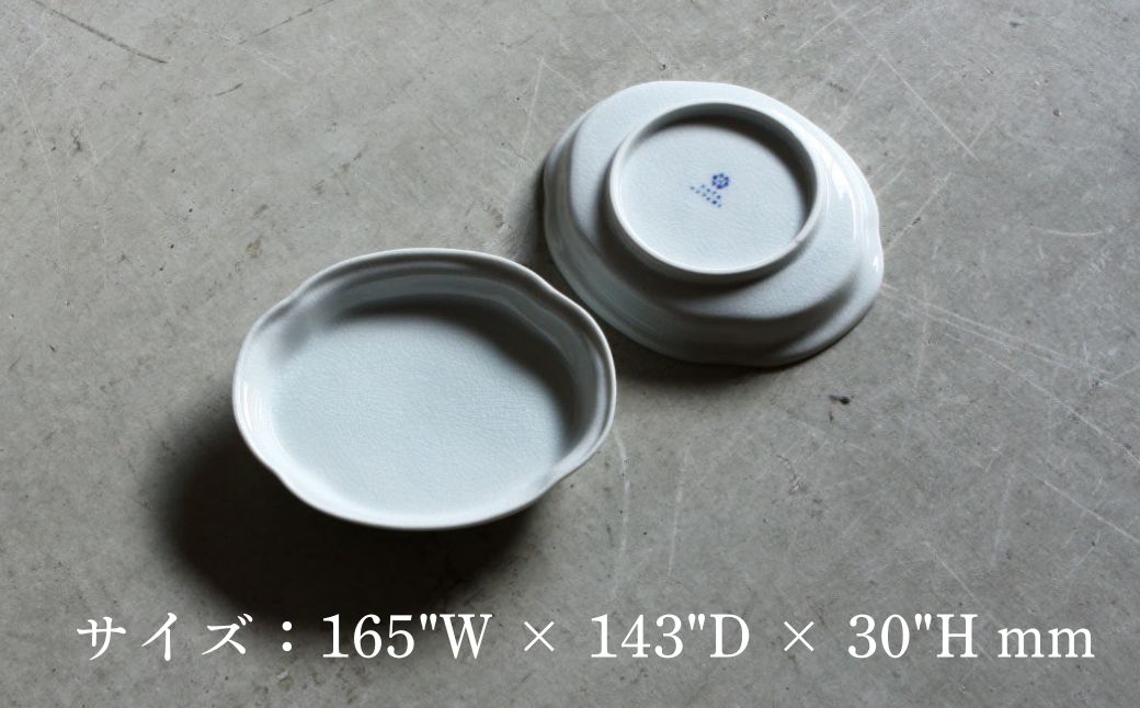 ツバ形皿 165mm 貫入白磁 1枚 九谷焼｜石川県 小松市 株式会社にぐらむ