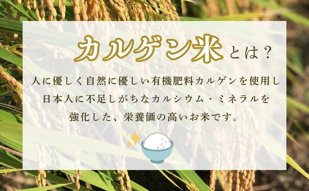 【定期便】令和7年産 こしひかりカルゲン米 5kg×3ヶ月(毎月) お米 白米 コシヒカリ | 石川県 小松市【坂口農園】