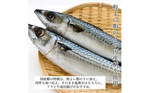 魚 国産鯖の切り身(甘塩)　10切 冷凍 （一切れ約100ｇ）