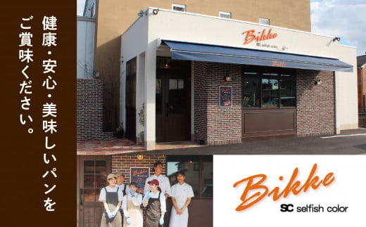 クランベリーベーグル10個セット 【Bikke】 パン 冷凍 石川県 小松市