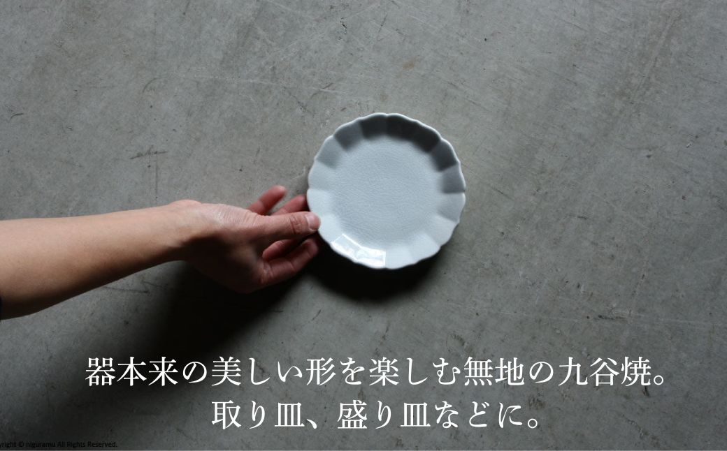 菊皿 160mm 貫入白磁 1枚 九谷焼｜石川県 小松市 株式会社にぐらむ