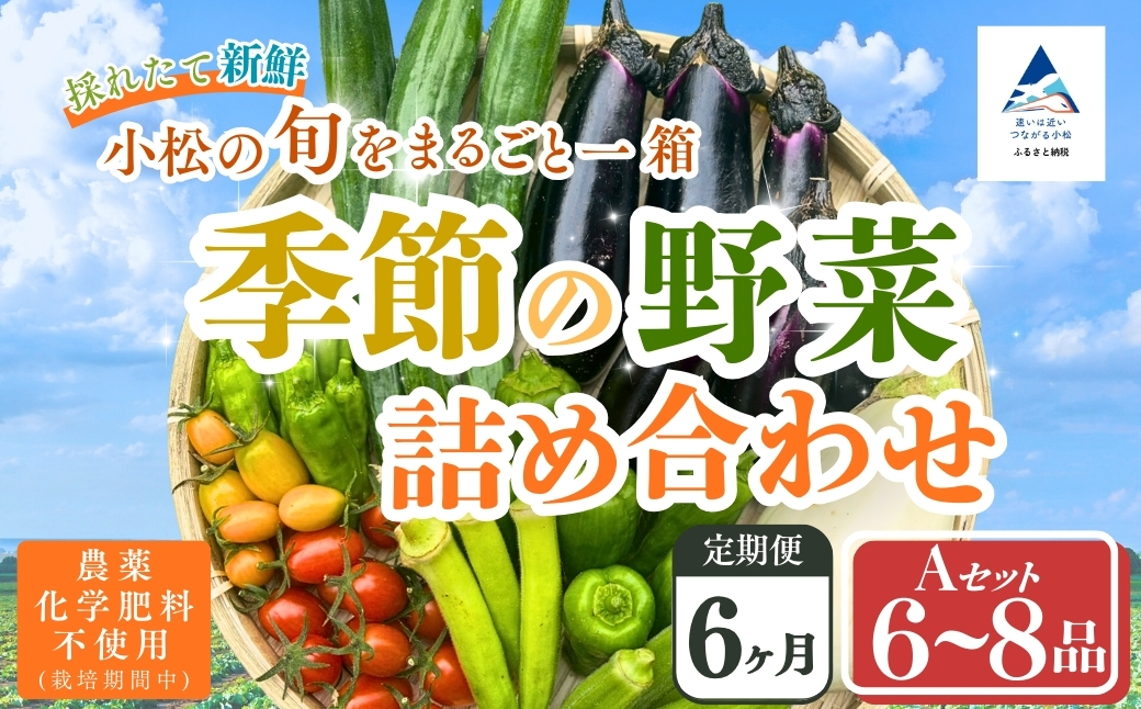 【定期便6ヶ月】季節の野菜詰め合わせ Aセット 野菜食べ比べ 旬の野菜 野菜セット定期便 | 石川県 小松市 【Kacchan.Farm】