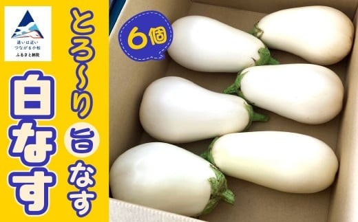 【先行予約】 季節限定 のうちゃんファームの白なす 6個 ナス 茄子 野菜