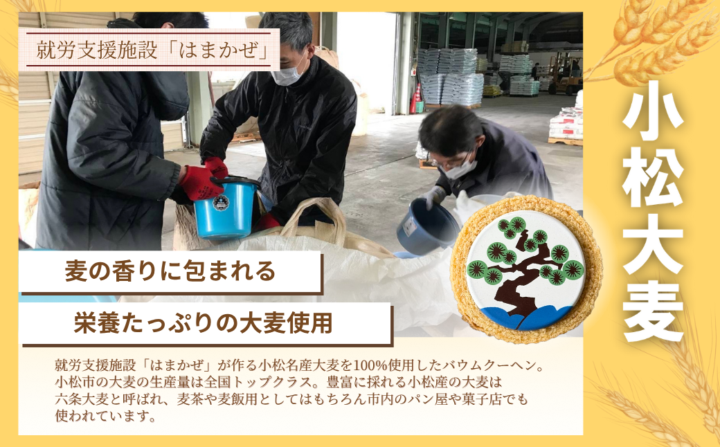 TVåºæŒå€æ°ïŒããŠã ã¯ã¿ãÃ6å åå
è£
ïŒçŽ40g:çŽåŸ6.5cmïŒã¹ã€ãŒã ãèå ãåç£ ããŠã ã¯ãŒãã³ ããŒã ã¯ãŒãã³ æåç£ ãã〠ãã¶ãŒã ãåãå¯ãã°ã«ã¡ äººæ° éæç¡æ ã»ãã ãããã ã®ãã| ç³å·ç å°æŸåž ãæ ªåŒäŒç€Ÿææå ã