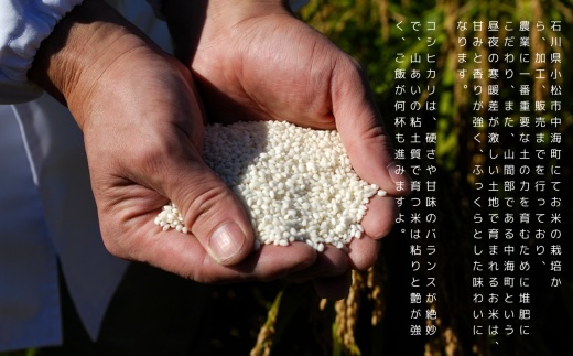 特栽コシヒカリ 白米（玄米5kgを精米したて白米発送） 令和7年産 こしひかり 米 お米｜石川県 小松市 有限会社のむら農産