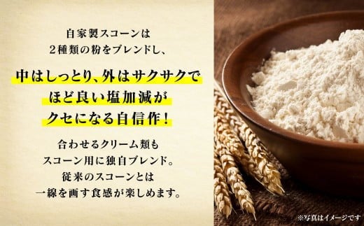 繧ケ繧ウ繝シ繝ウ繧オ繝ウ繝峨そ繝繝(8蛟句・繧)