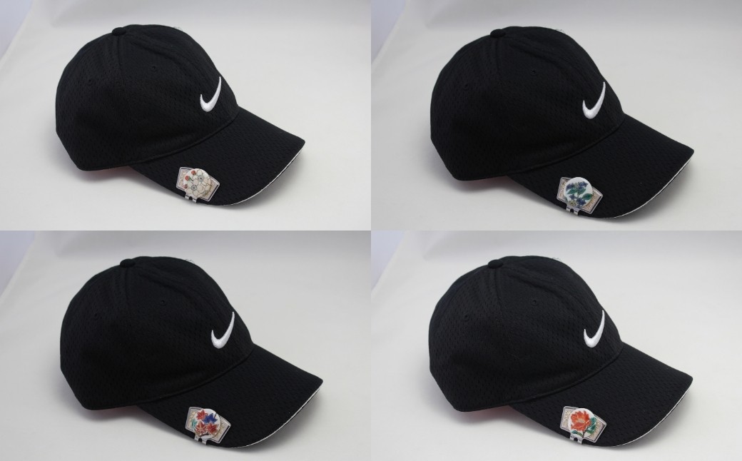 圩è¯-SAIGA-ããŒã«ããŒã«ãŒæ¥æ¬ã®åå£ã»ããïŒä¹è°·çŒäœå®¶ïŒè¶ç°ç§å¹³ïŒ