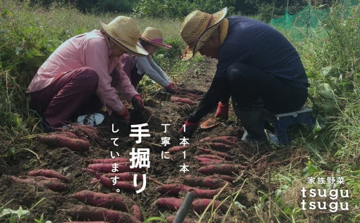 さつまいも 野菜 おやつ【農薬・化学肥料不使用】ねっとり甘~い おいもさん（紅はるか） ５kg