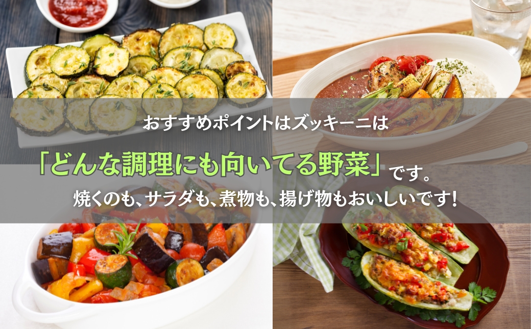 ãºãããŒã çŽ2kg (10æ¬ååŸ) ãã£ããŒã« å°æŸåžç£ | ç³å·ç å°æŸåž JAããã