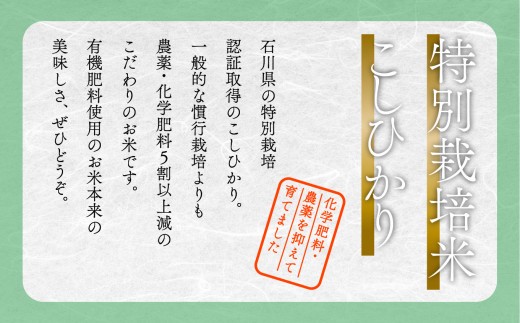 繧ウ繧キ繝偵き繝ェ 2kg 迚ケ蛻・譬ス蝓ケ邀ウ 莉、蜥7蟷エ逕」 縺薙@縺イ縺九j 邊セ邀ウ 繧ウ繝。 縺顔アウ 縺薙a 遏ウ蟾晉恁 蟆乗收蟶 縲占セイ螳カ縺オ縺倥◆縲