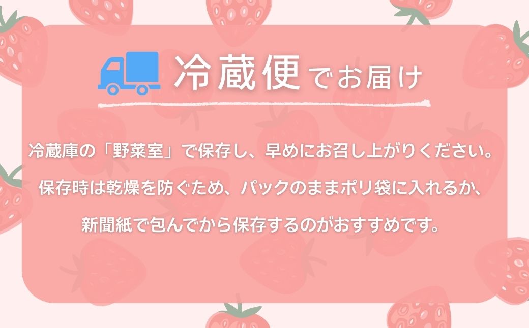 こまつイチゴ 紅ほっぺ 【 3パック（約750g）】苺 べにほっぺ | 石川県 小松市