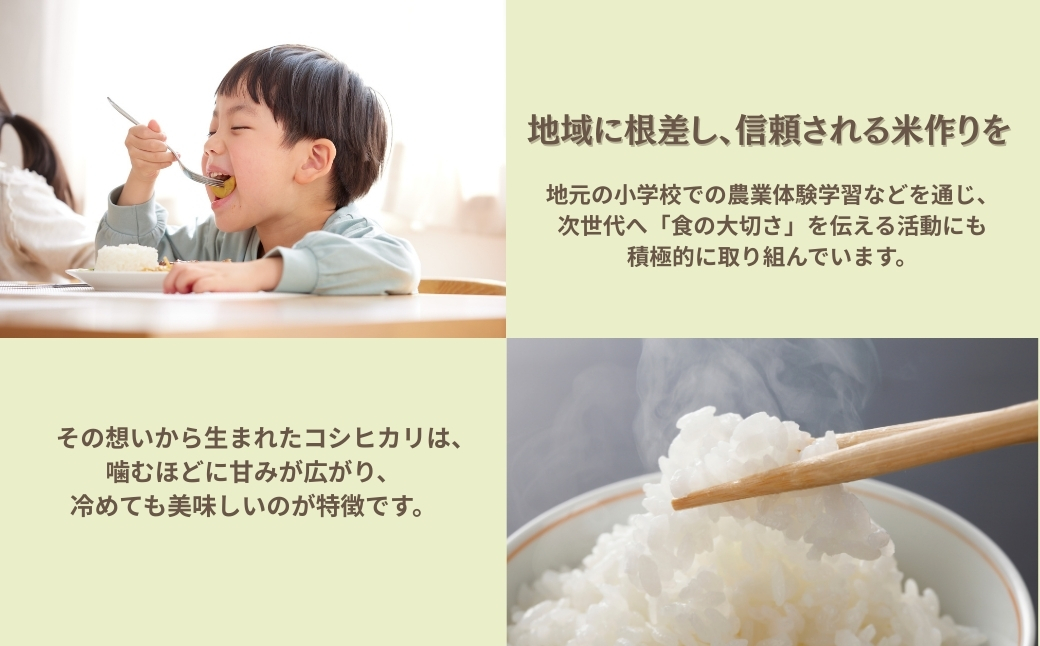 令和7年産 コシヒカリ 玄米 30kg 米 コメ お米 げんまい 石川県産 小松市産 【有限会社嵐農産】