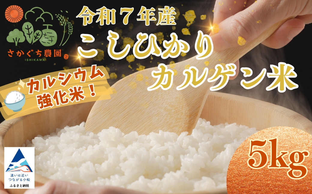 什å7å¹Žç£ ããã²ããã«ã«ã²ã³ç±³ 5kg ãç±³ çœç±³ ã³ã·ãã«ãª | ç³å·ç å°æŸåžãåå£èŸ²åã