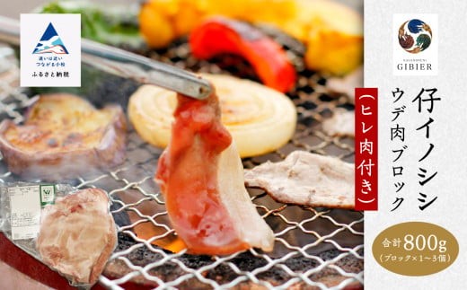 仔イノシシ ウデ肉 ブロック(ヒレ肉付き）800g  | 石川県 小松市 【ジビエアトリエ加賀の國】