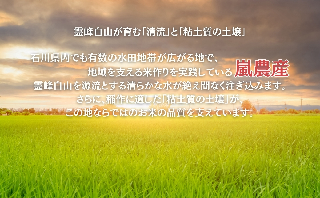 令和7年産 コシヒカリ 玄米 30kg 米 コメ お米 げんまい 石川県産 小松市産 【有限会社嵐農産】