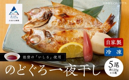 【日本海の高級魚】のどぐろ一夜干し 5尾 要冷凍｜干物 ひもの ノドグロ 詰め合わせ 小松市 石川県 【株式会社竹本商店】