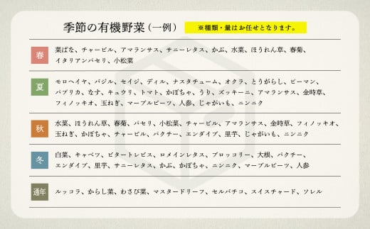 季節の野菜詰合せ Bセット 野菜 詰め合わせ｜石川県 小松市 西田農園