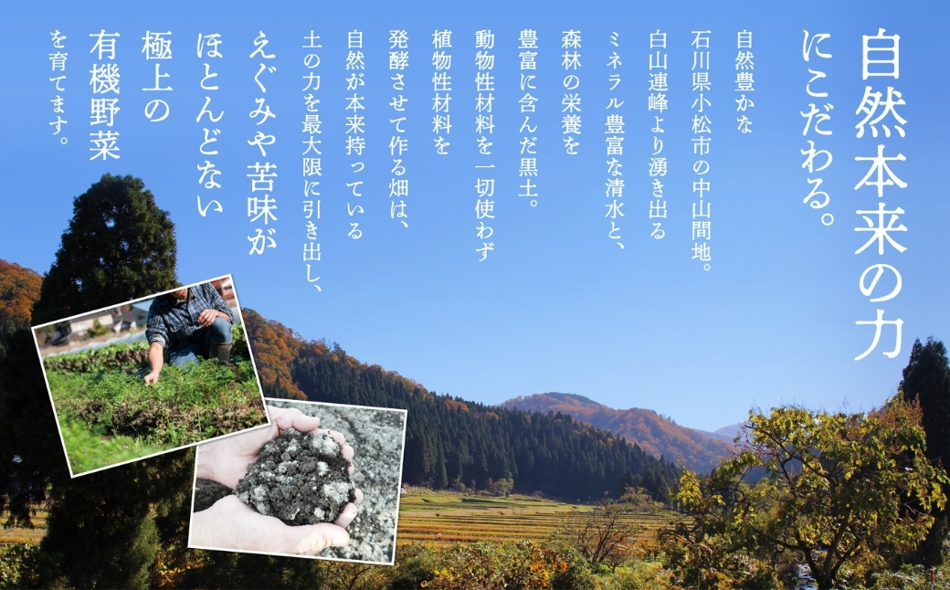 ãå
è¡äºçŽãææ©æ œå¹ããããã 900g (225gÃ4ããã¯) ãªãŒã¬ãã㯠ããããã | ç³å·ç å°æŸåž 西ç°èŸ²å