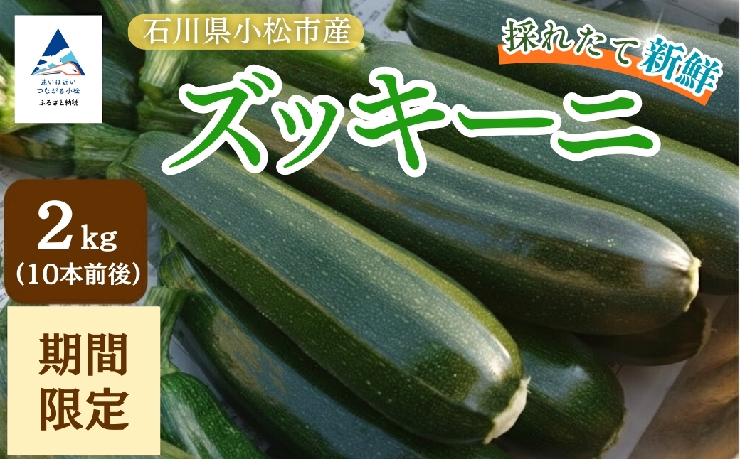 ズッキーニ 約2kg (10本前後) ずっきーに 小松市産 | 石川県 小松市 JAあぐり