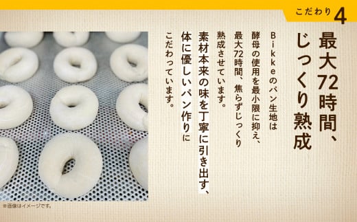 クランベリーベーグル10個セット 【Bikke】 パン 冷凍 石川県 小松市