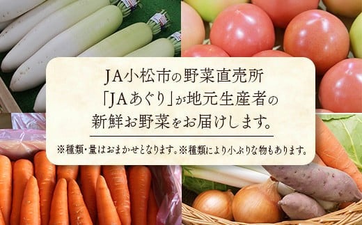 JA小松市 季節の野菜 6回定期便 隔月お届け｜石川県 小松市 ＪＡあぐり