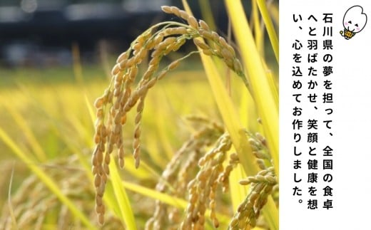 【先行予約】【定期便】令和8年産 小松産 ゆめみづほ 精米 5kg×2ヶ月（毎月） 米 お米｜石川県 小松市 ＪＡ小松市