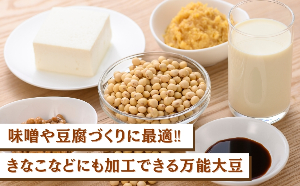 大豆 1kg 豆 イソフラボン おやつ おつまみ 味噌作り| 石川県 小松市 JAあぐり