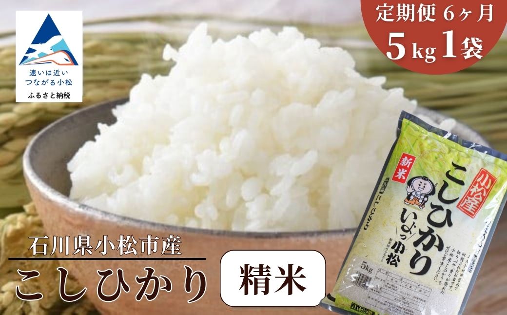 【先行予約】【定期便】令和8年産 小松産こしひかり 精米 5kg×6ヶ月（毎月） 米 お米｜石川県 小松市 ＪＡ小松市