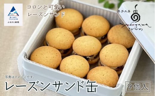 焼き菓子 クッキー レーズンサンド缶（缶入り）9個 冷凍