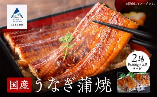 【真空パック】国産うなぎ蒲焼 約200g×2尾 かば焼き タレつき 関西風 小松市 石川県 【株式会社竹本商店】