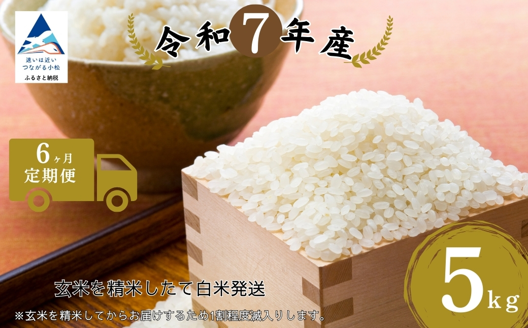 【6ヶ月定期便】特栽つきあかり 精米 白米 （玄米5kgを精米したて白米発送）令和7年産 こしひかり | 石川県 小松市【のむら農産】