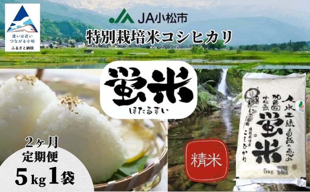 縲仙郁。御コ育エ縲代仙ョ壽悄萓ソ縲台サ、蜥8蟷エ逕」縲千音蛻・譬ス蝓ケ邀ウ繧ウ繧キ繝偵き繝ェ縲題寫邀ウ 邊セ邀ウ 5kgテ2繝カ譛茨シ域ッ取怦シ会ス懃浹蟾晉恁 蟆乗收蟶 シェシ。蟆乗收蟶