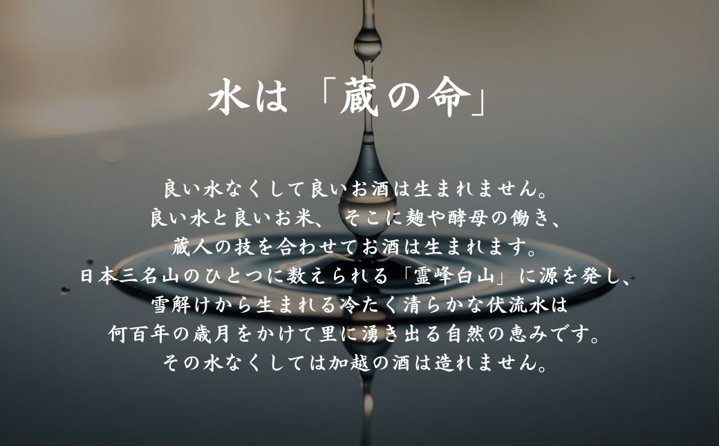 【冬季限定】日本酒 加賀ノ月 朏 (みかづき) しぼりたて生 (720ml)【加越酒造】