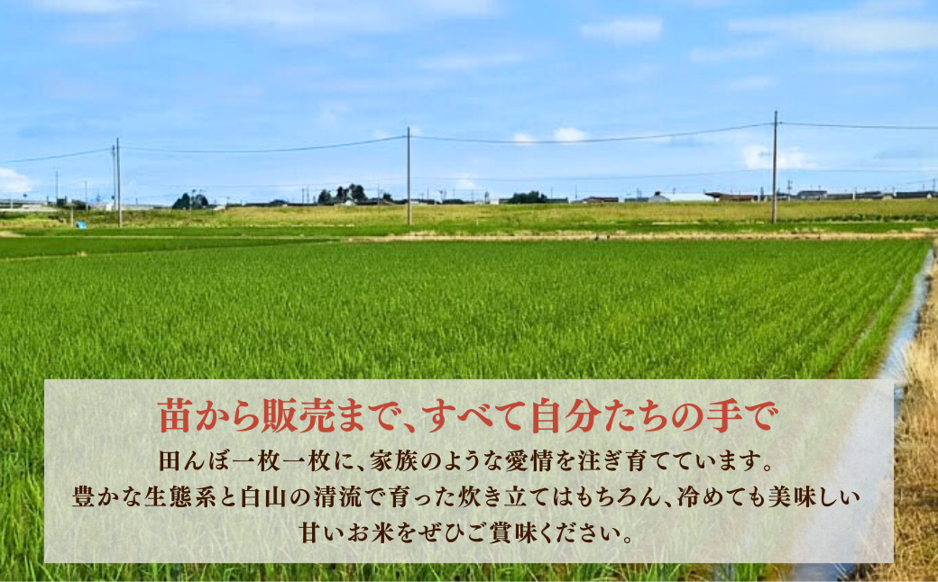 【先行予約】令和8年産 定期便 石川県産コシヒカリ 精米 計10kg(10kg×1袋)×3回便 お米 白米 こしひかり｜石川県 小松市 【坂下農産】