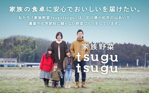 さつまいも 野菜 おやつ【農薬・化学肥料不使用】ねっとり甘~い おいもさん（紅はるか） ５kg