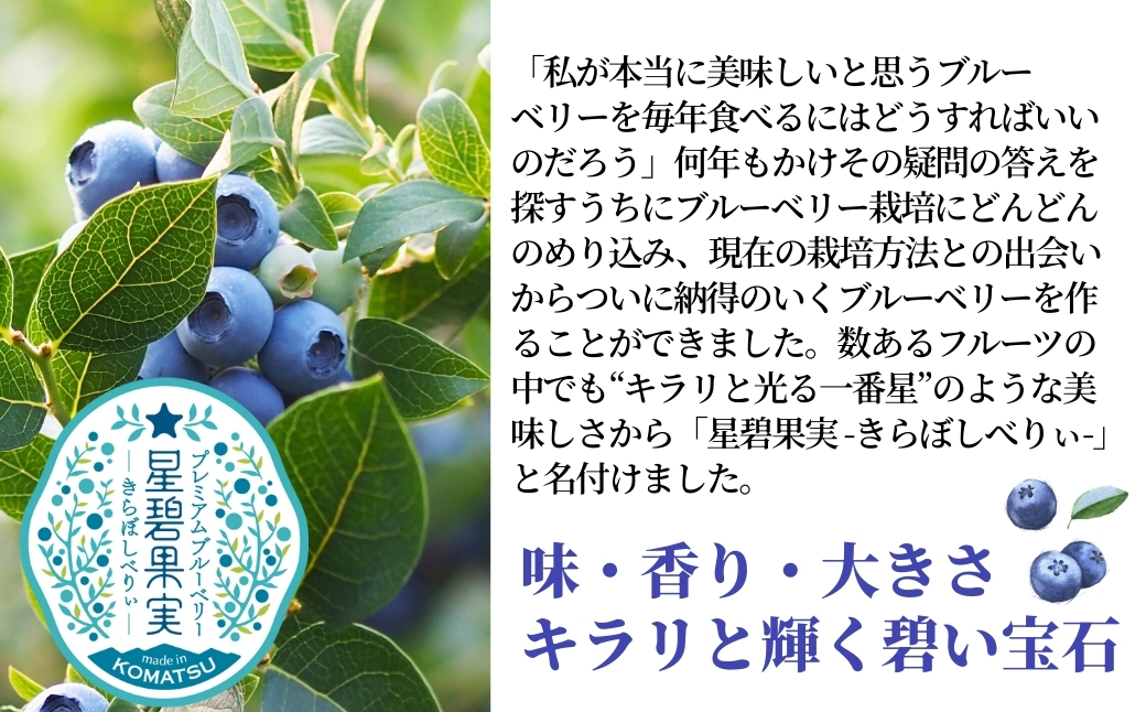 冷凍ブルーベリー 500g×1袋 国産フルーツ｜石川県 小松市 きらぼしファーム
