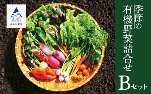 西田農園 季節の有機野菜詰合せ Ｂセット  野菜食べ比べ 旬の野菜 野菜セット オーガニック野菜 有機栽培 ｜ 石川県 小松市 【西田農園】