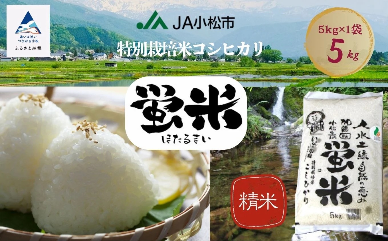 ãå
è¡äºçŽã什å8幎ç£ãç¹å¥æ œå¹ç±³ã³ã·ãã«ãªãèç±³ 粟米 5kgïœç³å·ç å°æŸåž ïŒªïŒ¡å°æŸåž