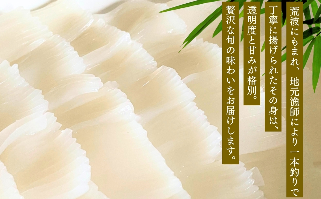 アカイカ 1kg (約2～4杯) イカ いか 海鮮 父の日 ギフト プレゼント【石川県漁業協同組合小松支所】
