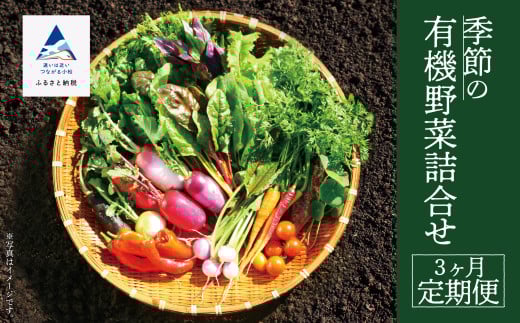 季節の有機野菜詰合せ 3ヶ月定期便 やさい（約1箱 40cm×30cm×20cm目安） 旬の野菜詰め合わせ オーガニック野菜 3回 3ヵ月 ｜ 石川県 小松市 【西田農園】