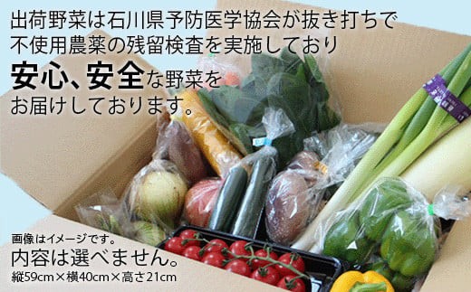 JA小松市 季節の野菜 6回定期便 隔月お届け｜石川県 小松市 ＪＡあぐり