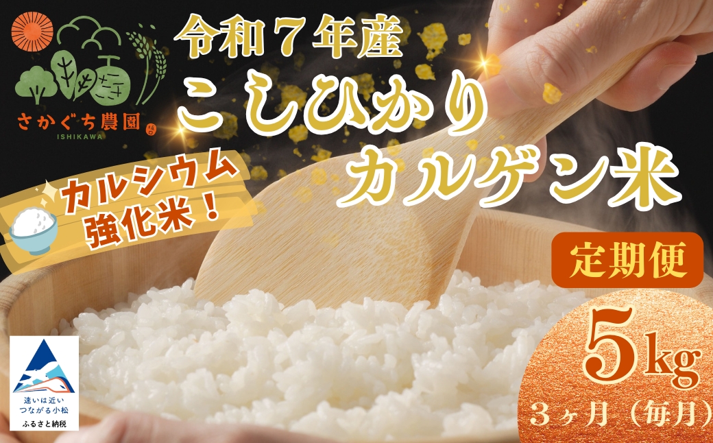 【定期便】令和7年産 こしひかりカルゲン米 5kg×3ヶ月(毎月) お米 白米 コシヒカリ | 石川県 小松市【坂口農園】