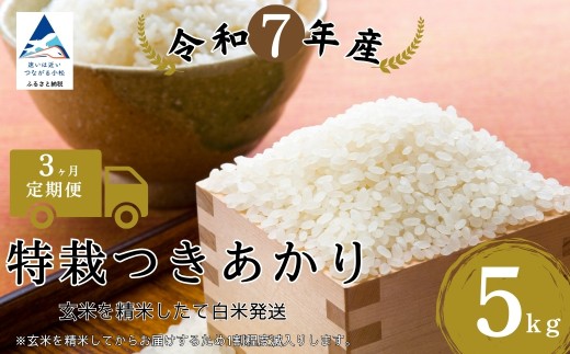 【3ヶ月定期便】特栽つきあかり 精米 白米 （玄米5kgを精米したて白米発送）令和7年産 こしひかり | 石川県 小松市【のむら農産】