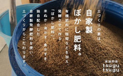 さつまいも 野菜 おやつ【農薬・化学肥料不使用】ねっとり甘~い おいもさん（紅はるか） ５kg