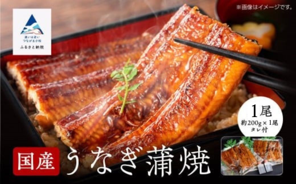 鰻蒲焼白焼きセット 各1尾 かば焼き 白焼き タレつき 関西風 詰め合わせ 小松市 石川県 【株式会社竹本商店】