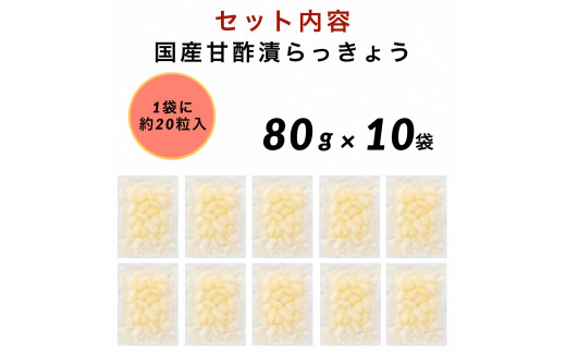 国産甘酢漬らっきょう 10袋 