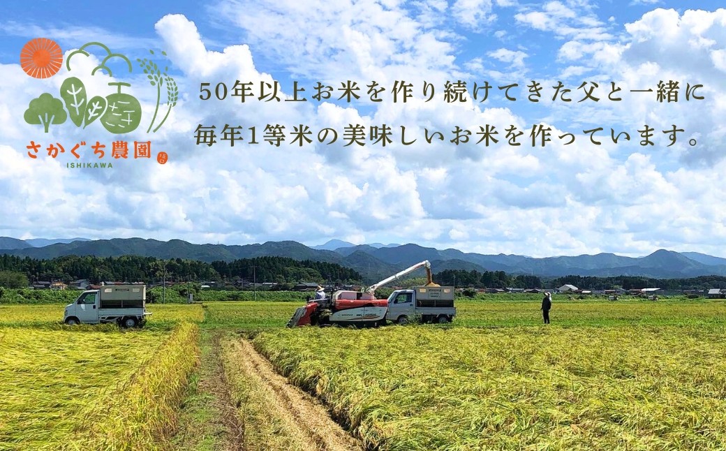 【定期便】令和7年産 こしひかりカルゲン米 5kg×3ヶ月(毎月) お米 白米 コシヒカリ | 石川県 小松市【坂口農園】