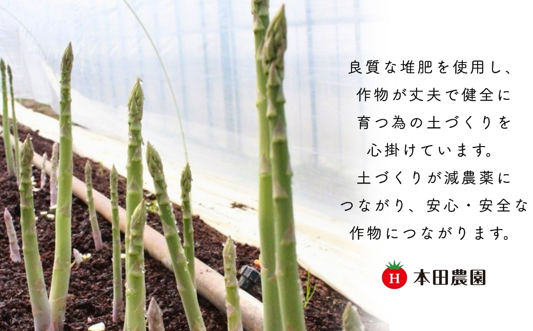 縲仙郁。御コ育エ縲 繧「繧ケ繝代Λ繧ャ繧ケ 1kg (險ウ繧「繝ェ) 驥手除 險ウ縺ゅj 繧「繧ケ繝代Λ | 遏ウ蟾晉恁 蟆乗收蟶 譛ャ逕ー霎イ蝨