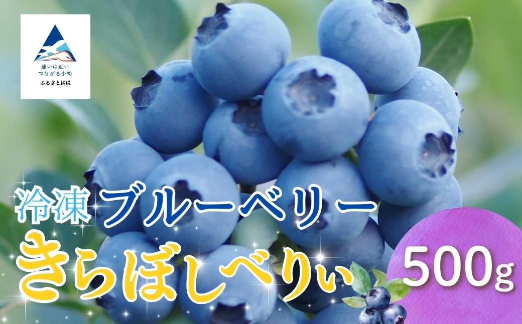 冷凍ブルーベリー５００ｇ